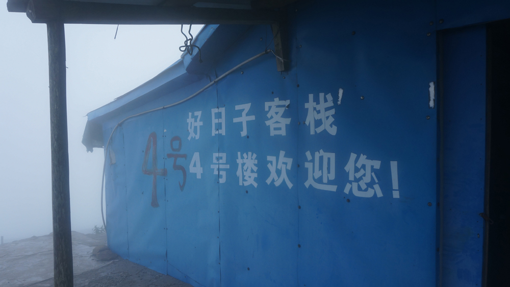 DSC09697.jpg