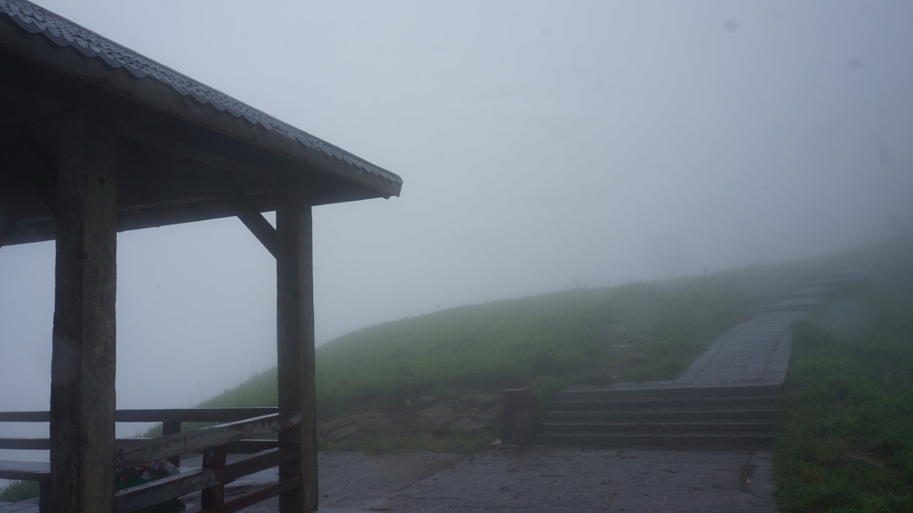 DSC09675.jpg