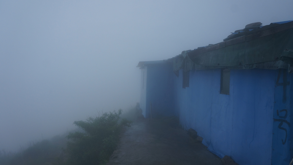 DSC09699.jpg