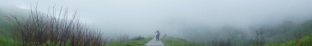 DSC09878.jpg
