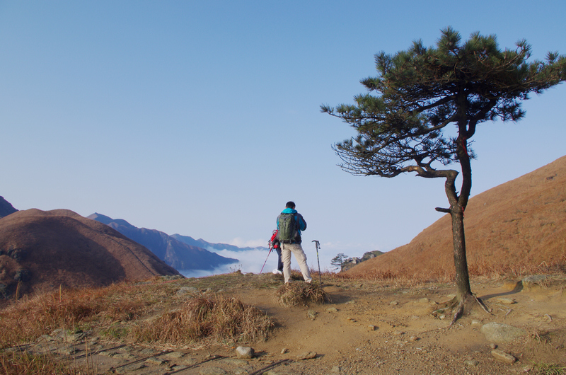 WGS_0870.jpg