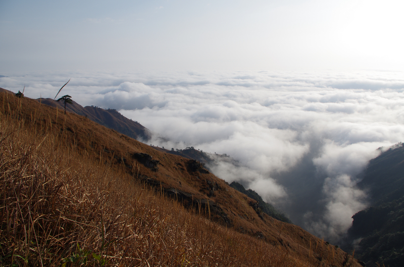 WGS_0875.jpg