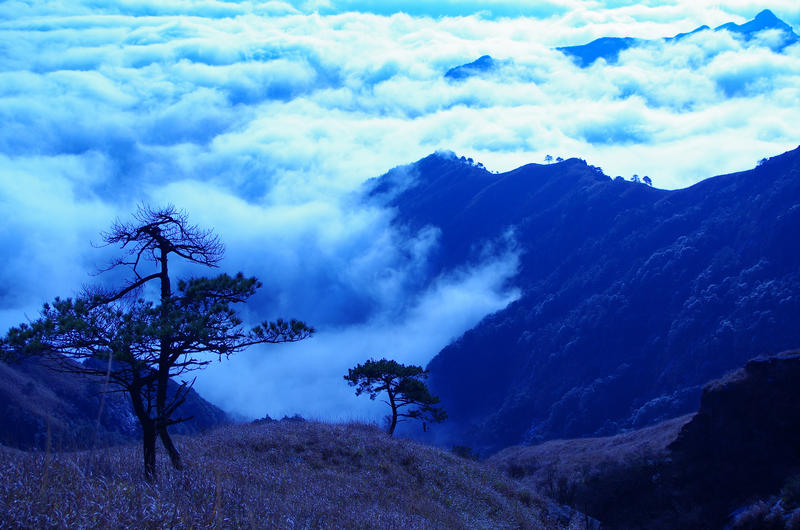 WGS_0885.jpg