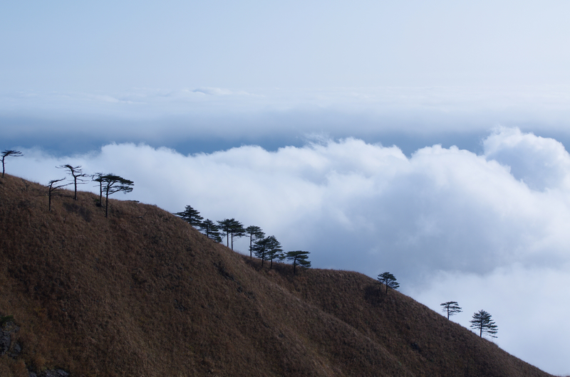 WGS_0942.jpg