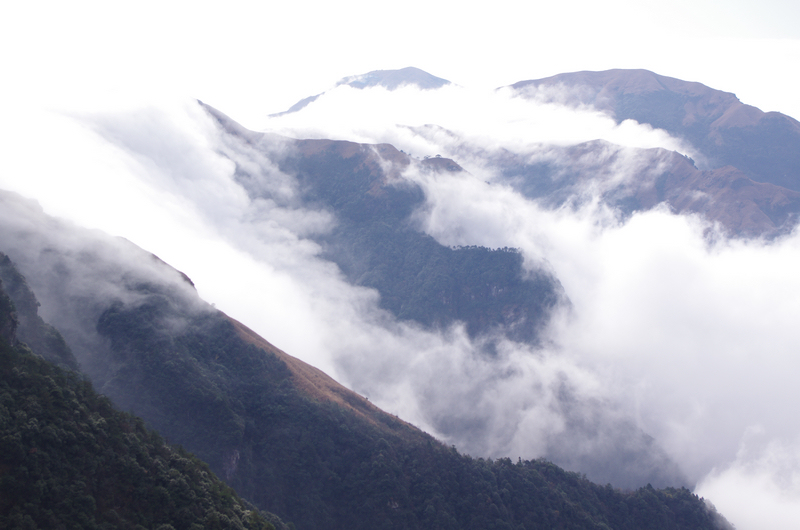 WGS_0991.jpg