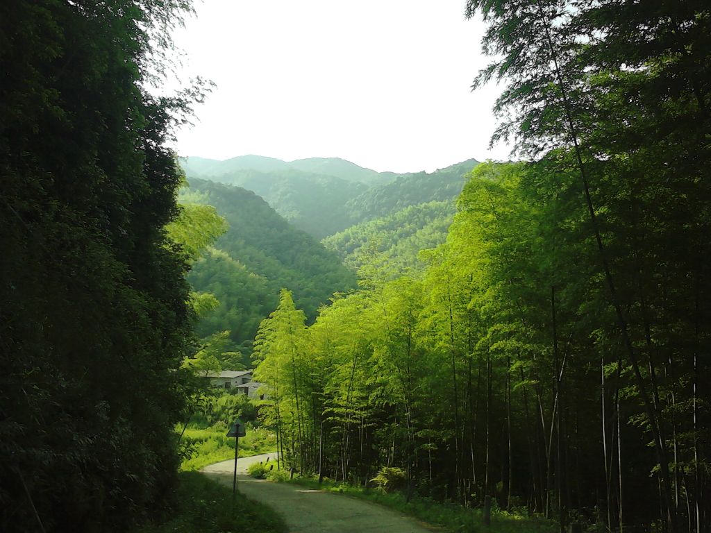 IMG02585.jpg
