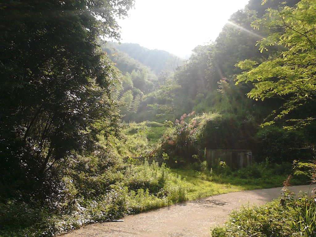 IMG02584.jpg