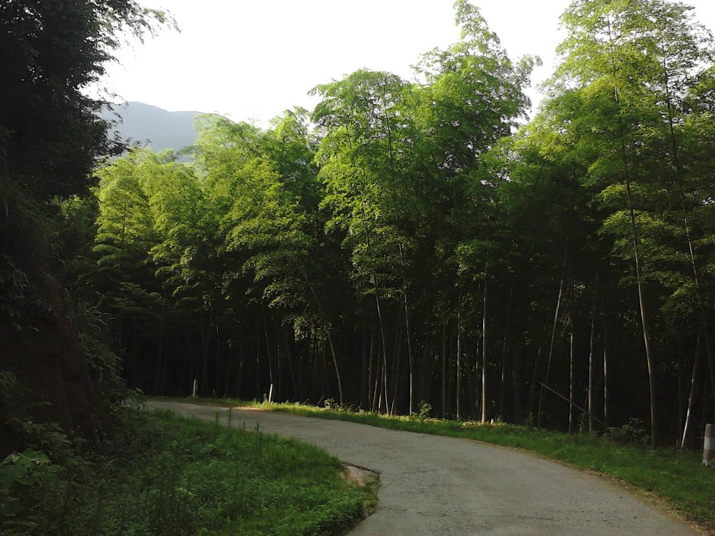 IMG02576.jpg