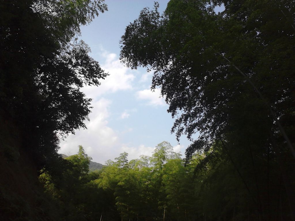 IMG02575.jpg