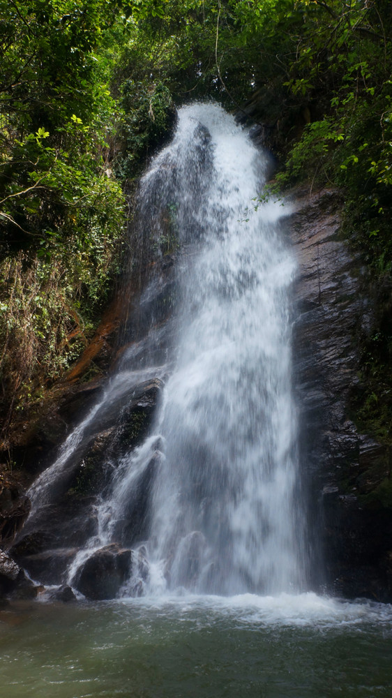 DSC01328.jpg