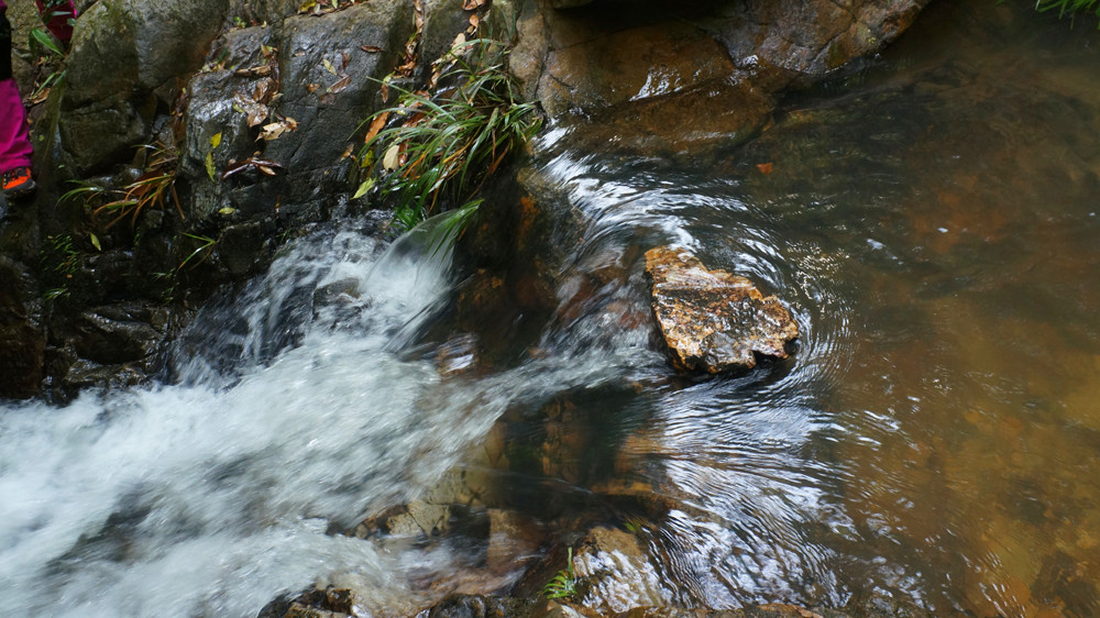 DSC01449.jpg