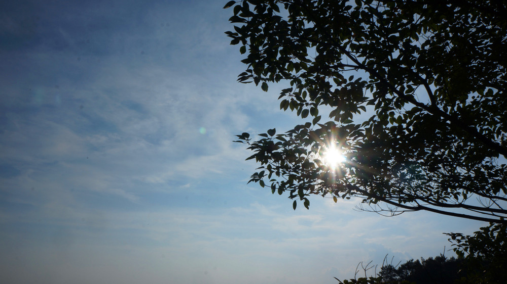DSC01703.jpg