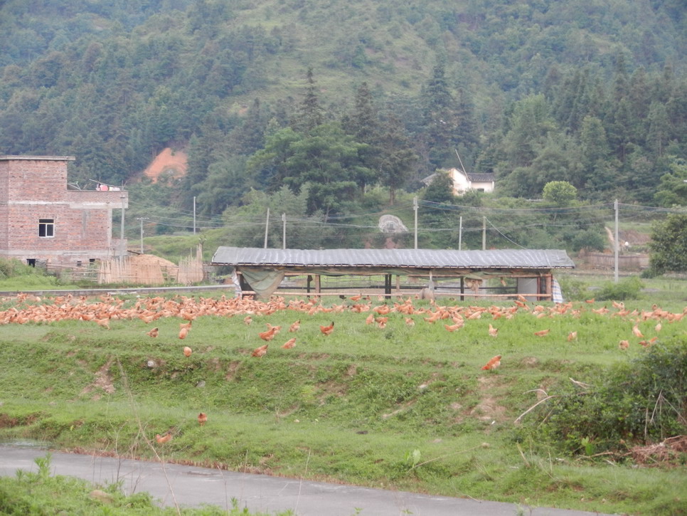 DSCN0307.JPG