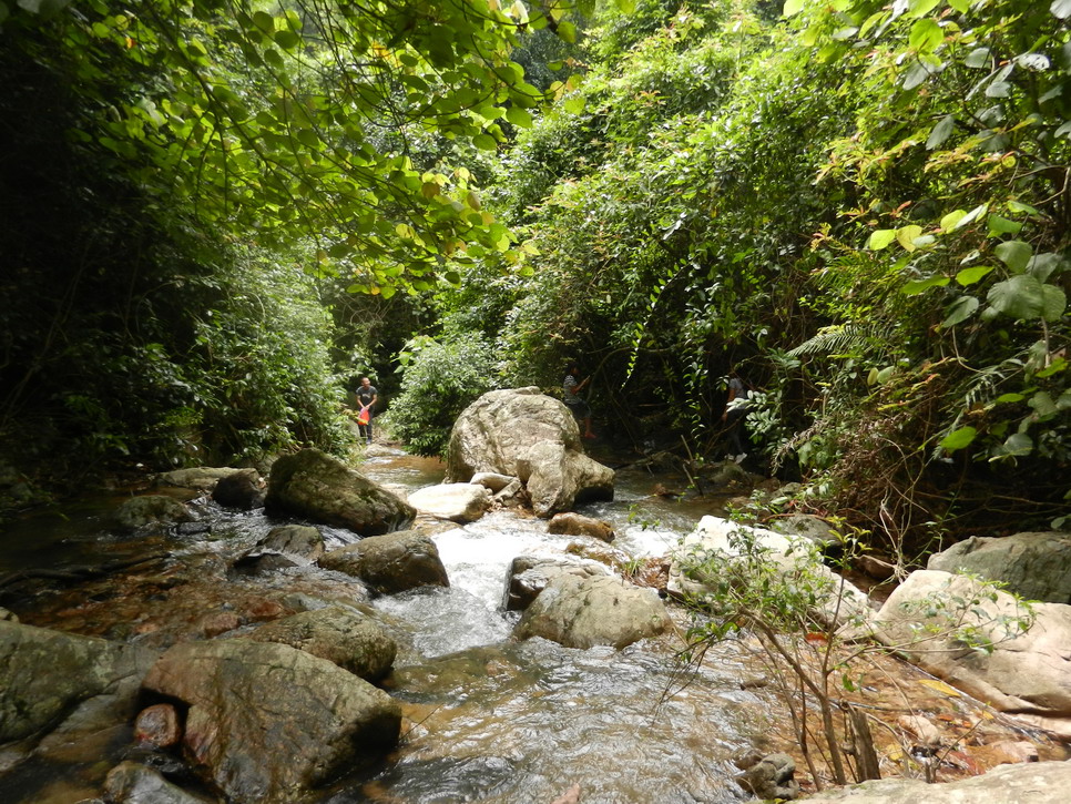 DSCN0122.JPG