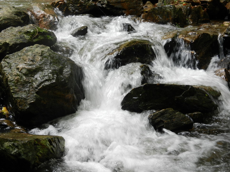 DSCN0139.JPG