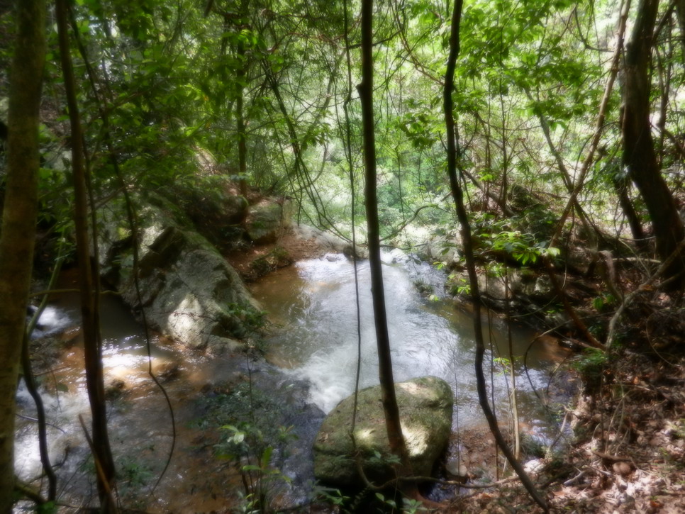 DSCN0155.JPG