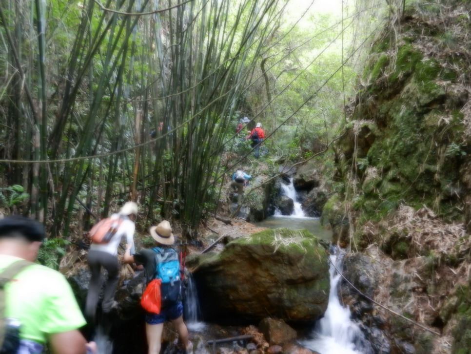 DSCN0192.JPG