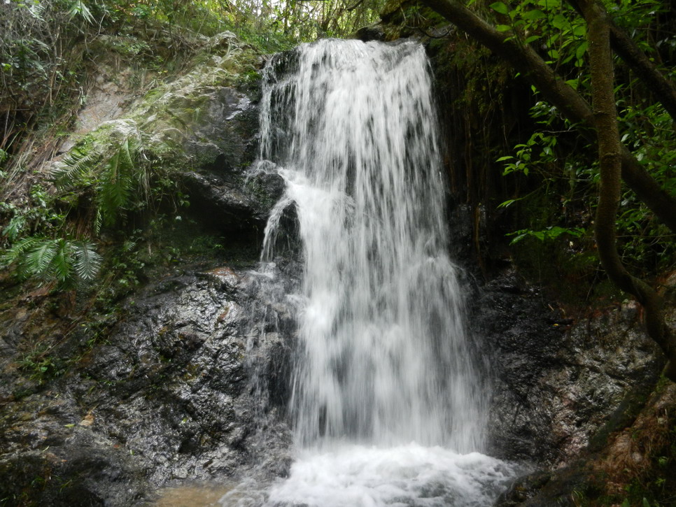 DSCN0205.JPG