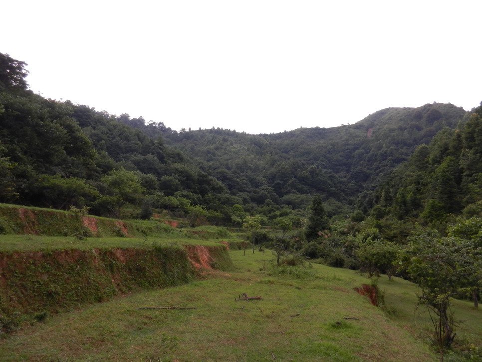 DSCN0268.JPG