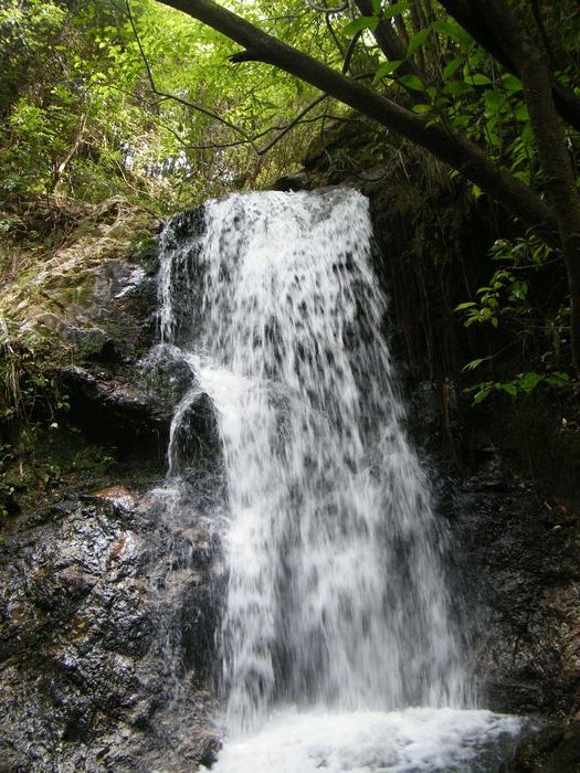 DSCF5592.JPG
