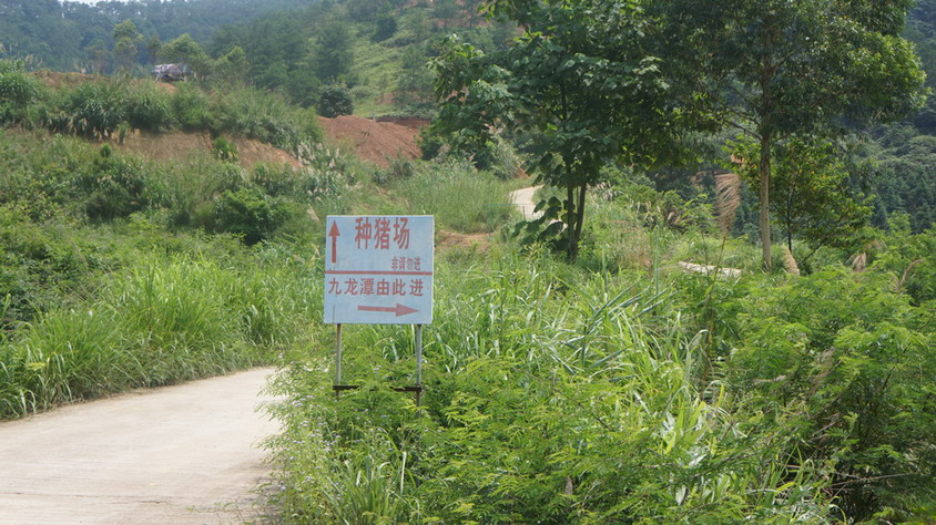 DSC00850.JPG