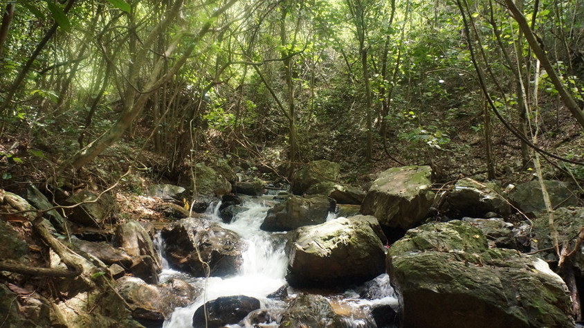 DSC01180.JPG