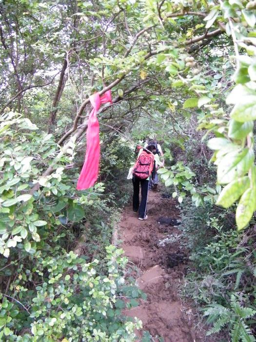 DSCF5644.JPG