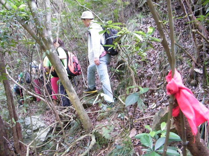 DSCF5578.JPG