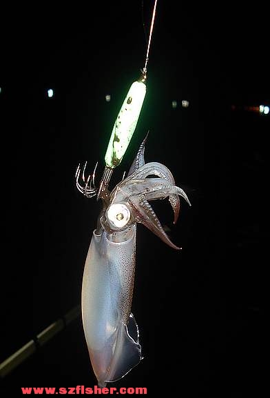 130608132338898afcb6d69f9f.jpg