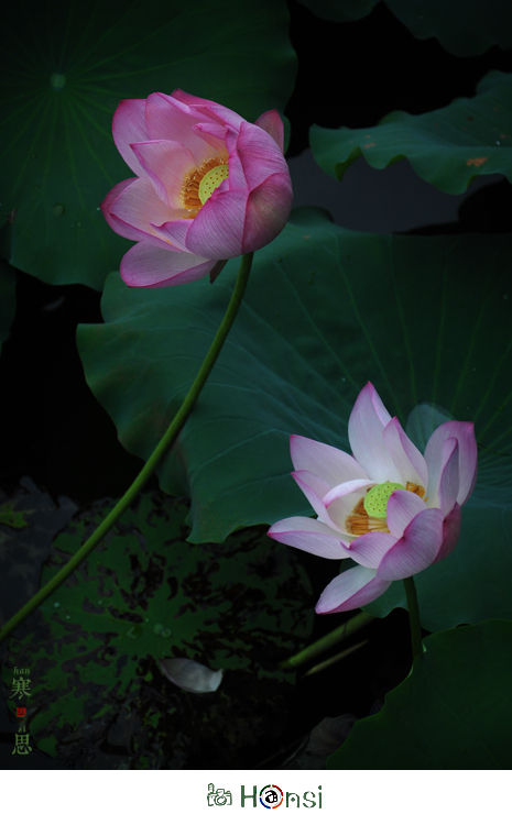 DSC_0500-sc.jpg