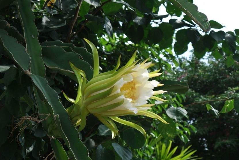 QQͼƬ20130629130610.jpg