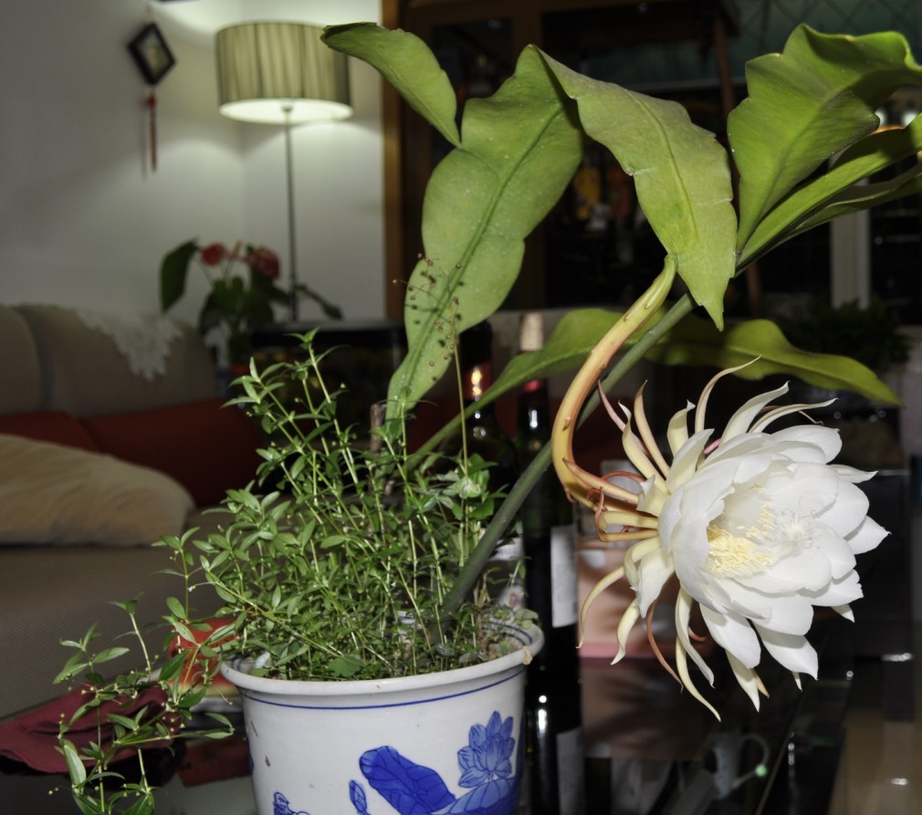 QQͼƬ20130629131904.jpg
