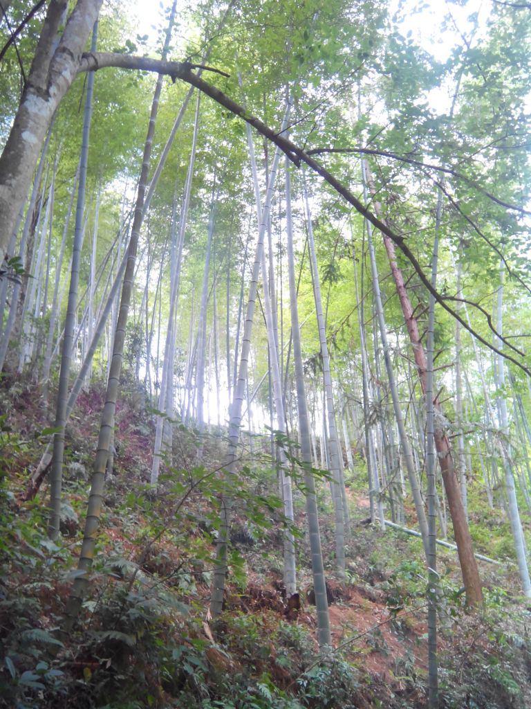 IMG_20130629_105528.jpg