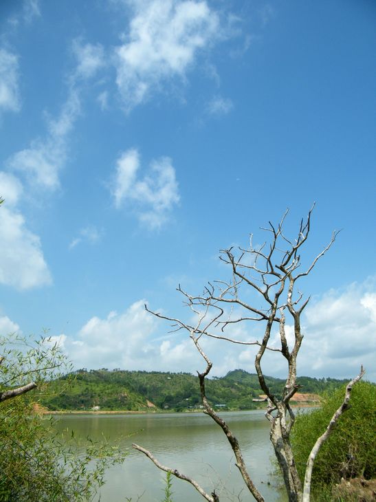 DSCF4740.JPG
