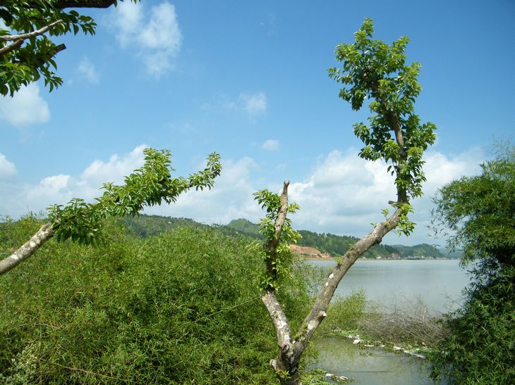 DSCF4738.JPG