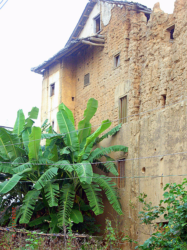 R8010208_.jpg