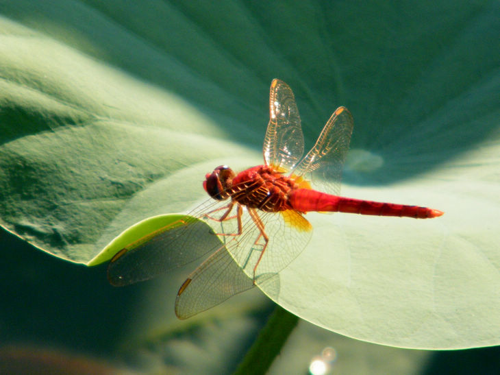 DSCF5023.JPG