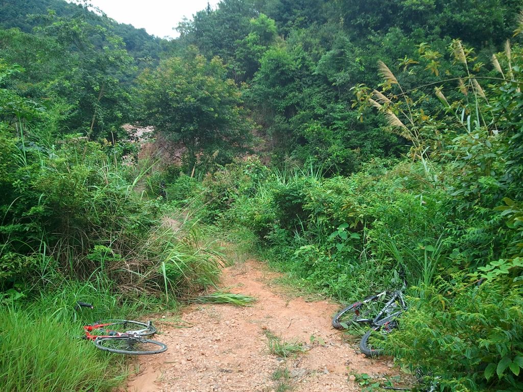 2013-07-06 10.34.20.jpg