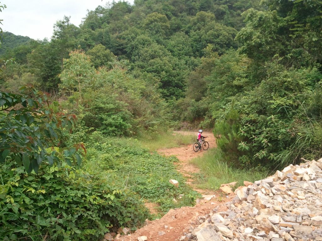 2013-07-06 10.29.11.jpg