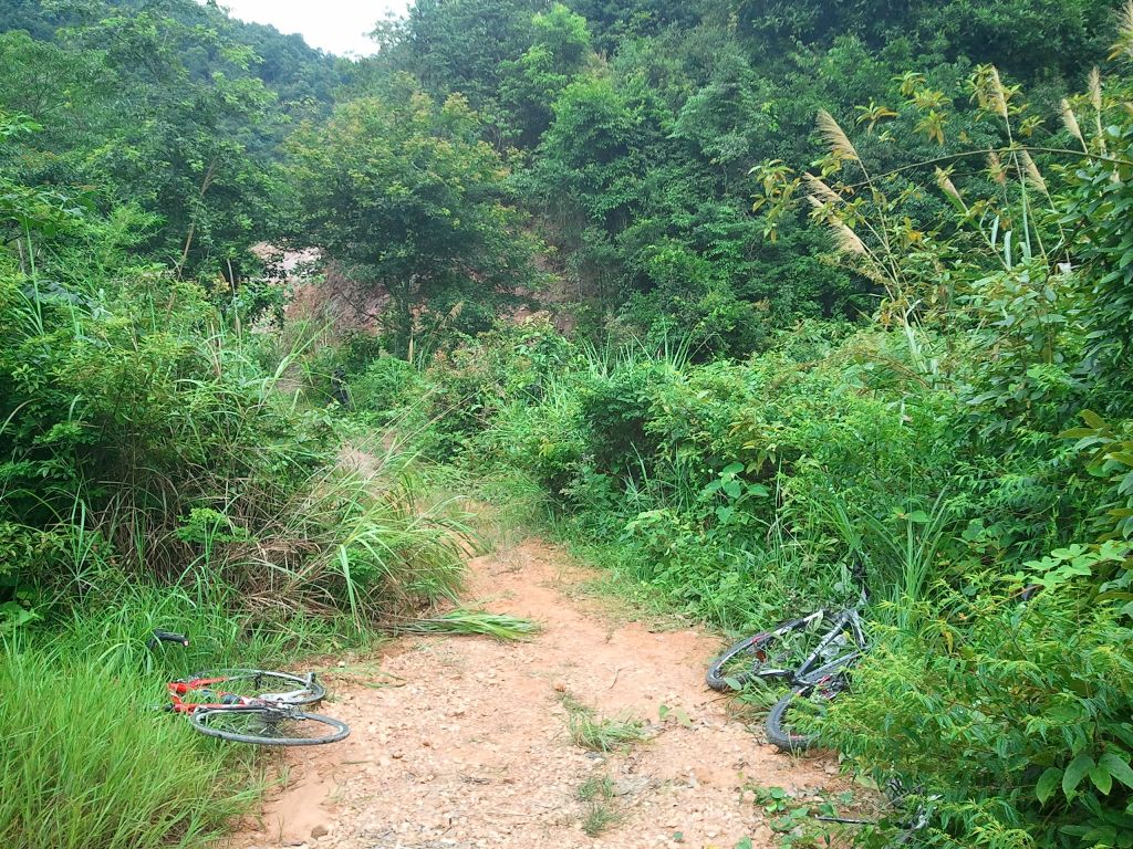 2013-07-06 10.34.14.jpg