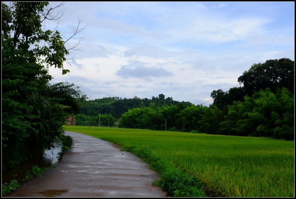 DSCF6677.jpg