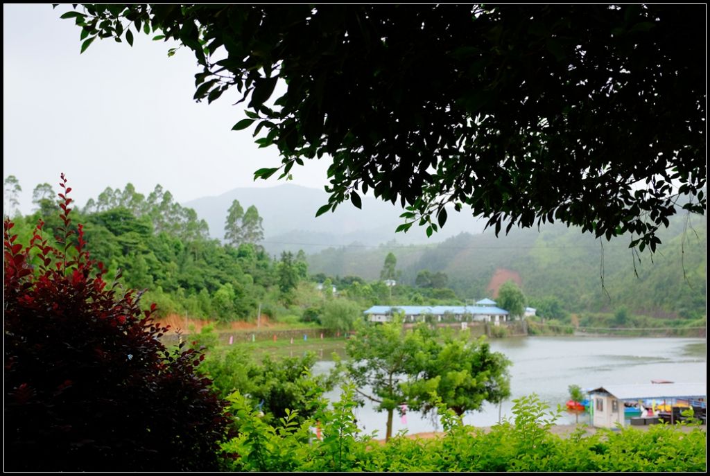 DSCF6524.jpg