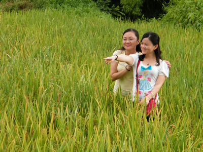 DSCF5265.JPG