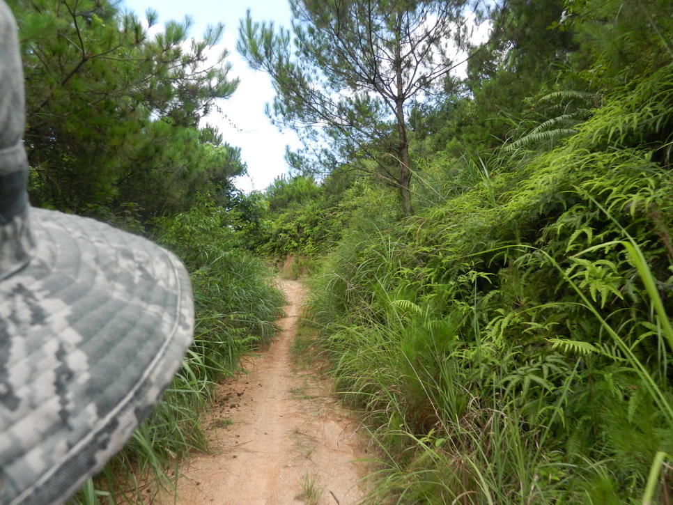 DSCN0420.JPG