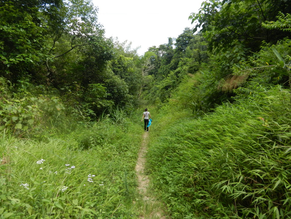 DSCN0433.JPG