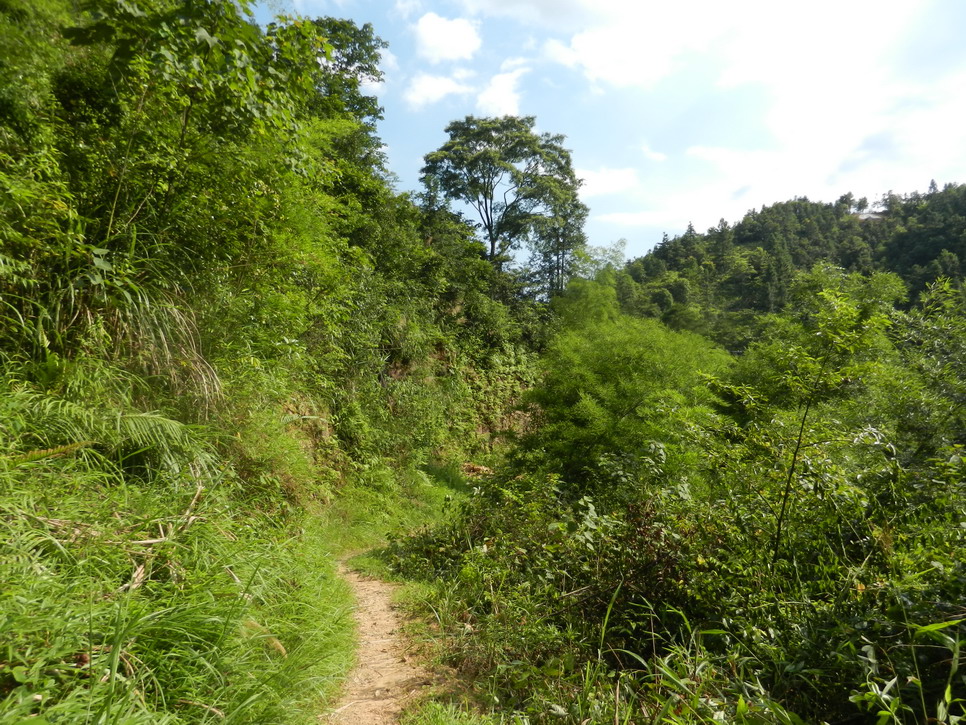 DSCN0464.JPG