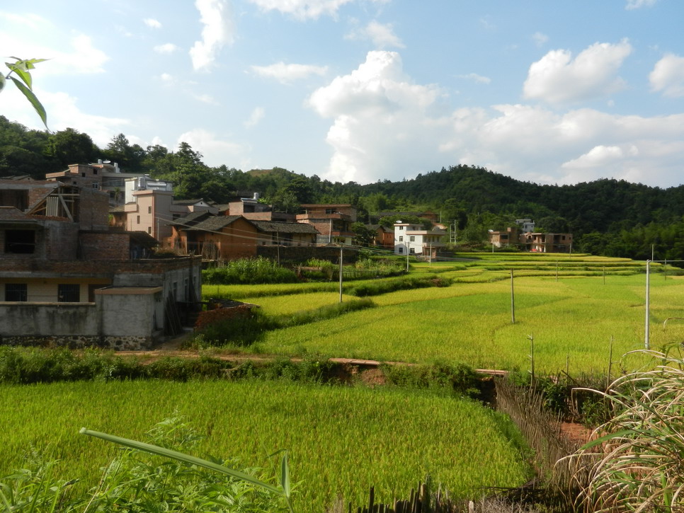 DSCN0495.JPG