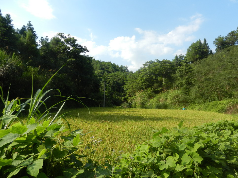 DSCN0549.JPG