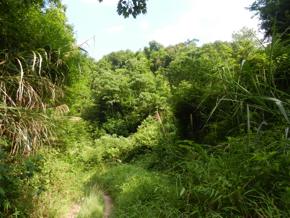 DSCN0552.JPG
