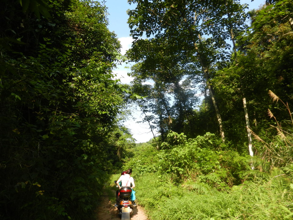 DSCN0555.JPG